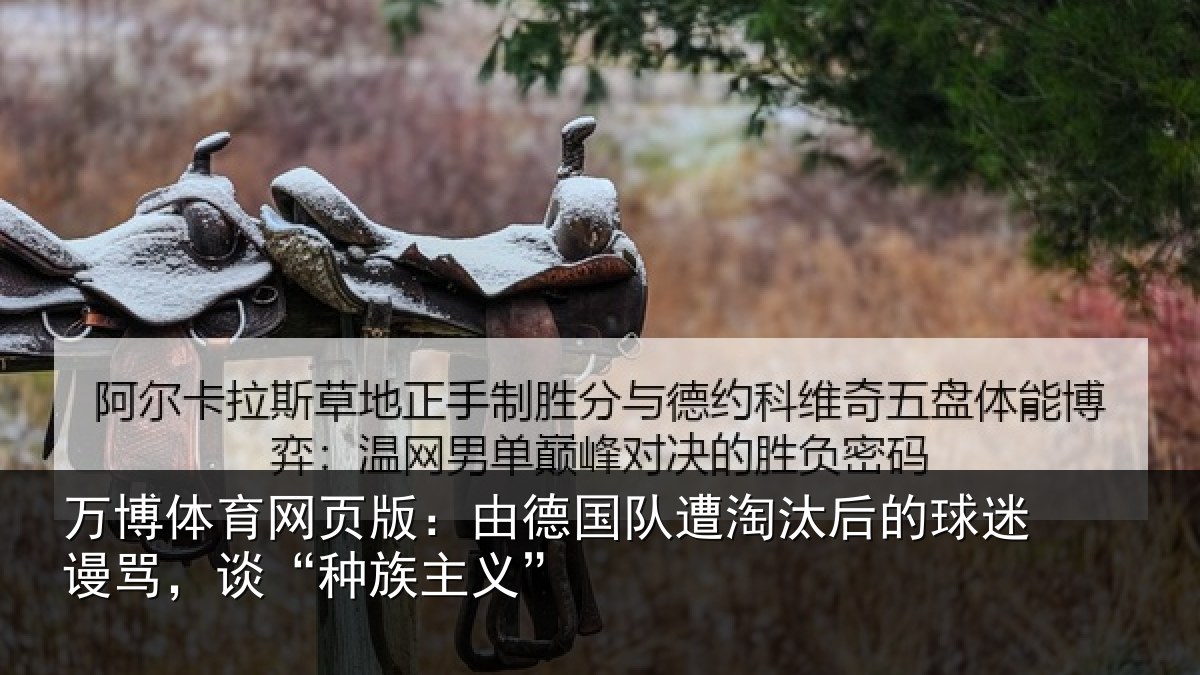 万博体育网页版：由德国队遭淘汰后的球迷谩骂，谈“种族主义”