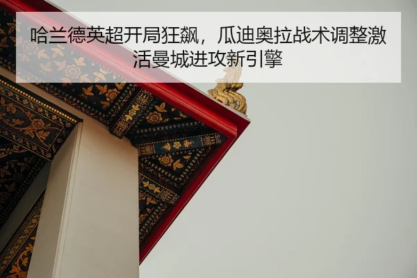 ha-lan-de-ying-chao-kai-ju-kuang-biao-gua-di-ao-la-zhan-shu-tiao-zheng-ji-huo-man-cheng-jin-gong-xin-yin-qing-2-276.jpg